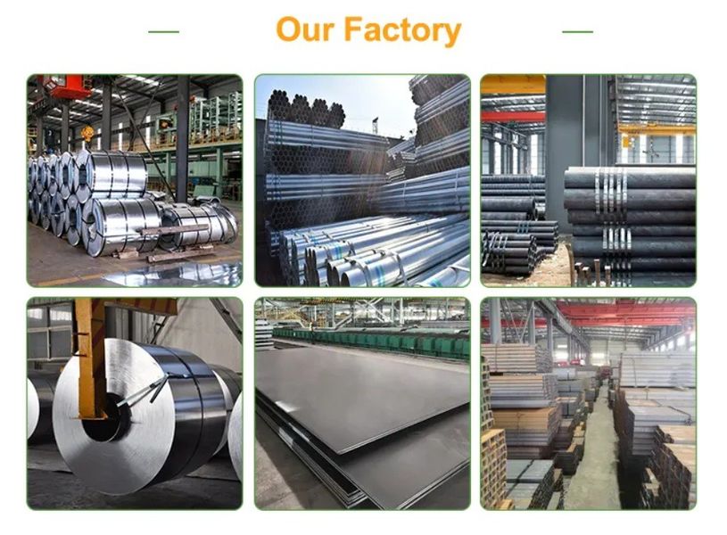 China Tisco Group Steel Co., Ltd Unternehmensprofil